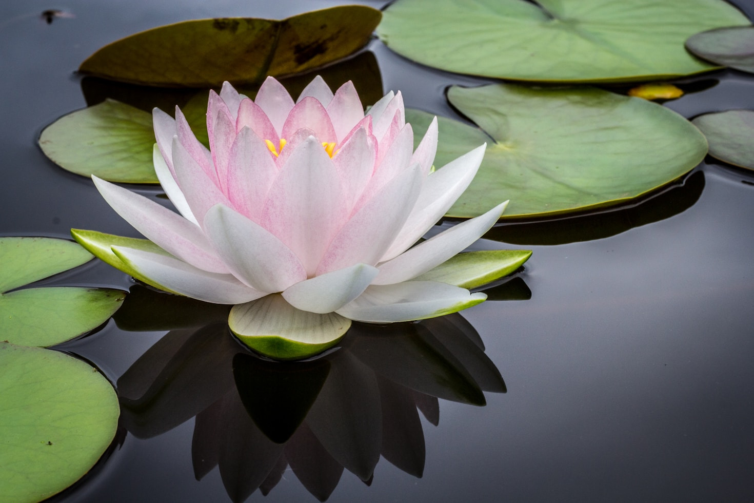 Fem fördelar med att praktisera meditation